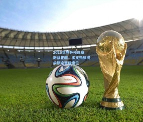 ng体育官方：2026世界杯预选赛激战正酣，多支劲旅提前锁定晋级席位