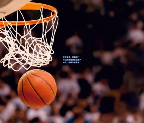 ng体育官方|早报聚焦，扛鼎前行！拜仁四线狂飙豪取十六连胜，诠释王者承重