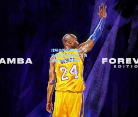 【ng体育官方】球场内外风波再起，维尼修斯私聊事件引发情感危机与公开致歉