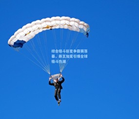 ng体育官方网站：综合格斗巨星争霸赛落幕，新王加冕引爆全球格斗热潮