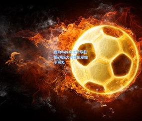 【ng体育网站】德约科维奇逆转取胜 第24座大满贯冠军触手可及