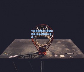 ng体育官方|中国滑雪健儿闪耀国际赛场 新星崛起再创佳绩
