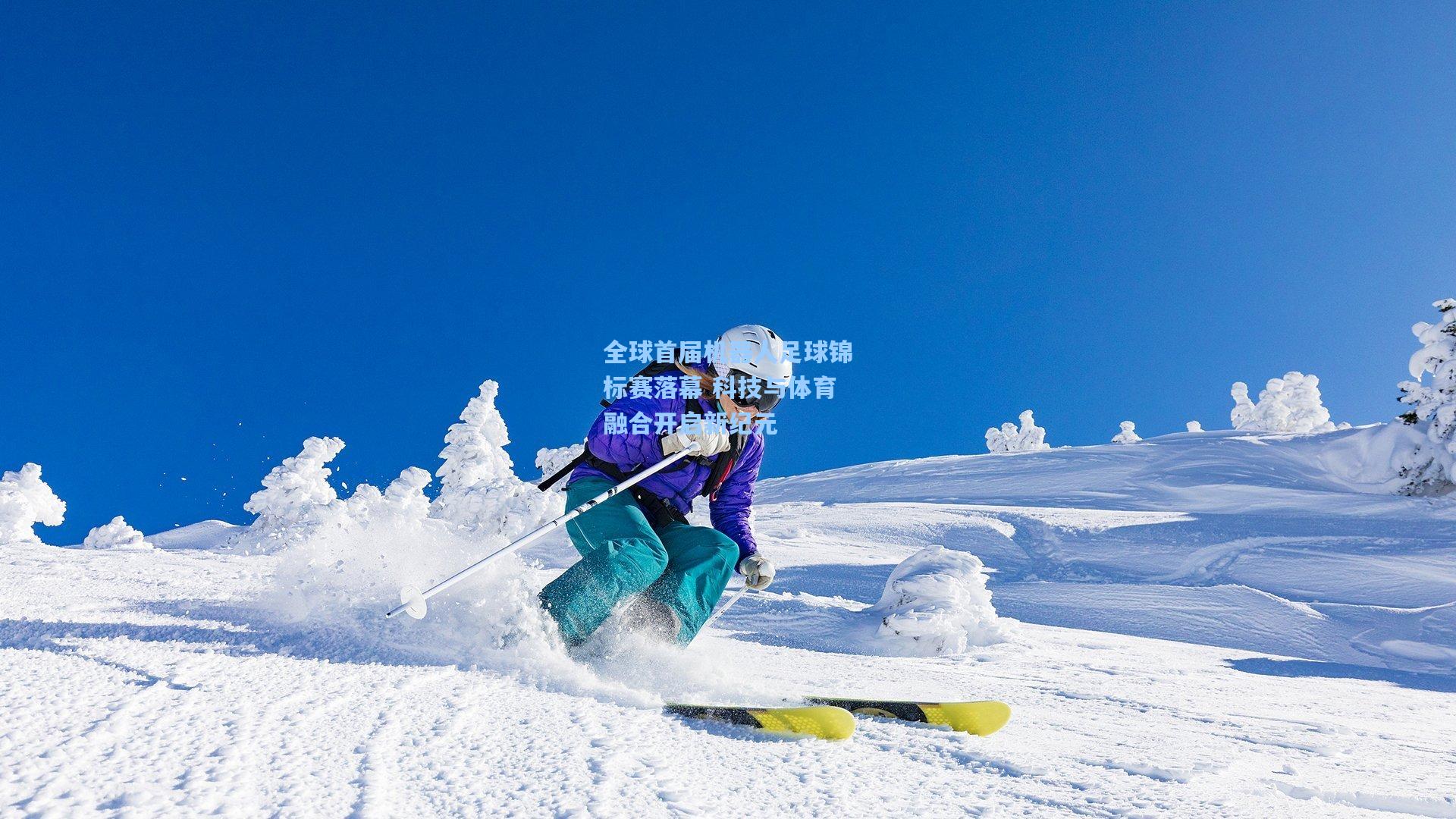 全球首届机器人足球锦标赛落幕 科技与体育融合开启新纪元